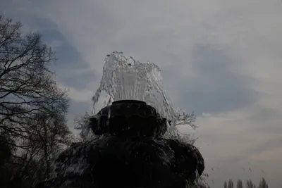 DSC_6910 (Large).JPG